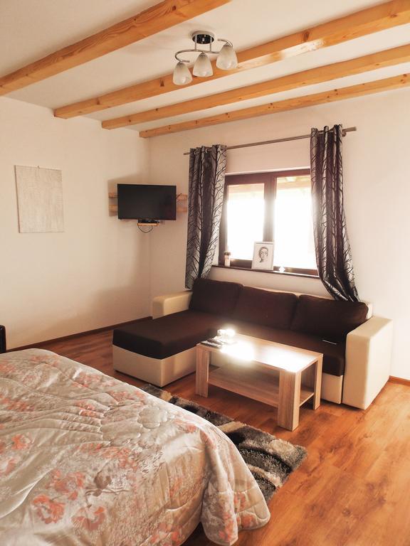 Villa Sofia Haţeg